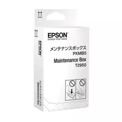 Récupérateur d'encre usagée EPSON C13T295000 - Pour Epson WorkForce WF-100, WF-100W, WF-110W - Jet d'encre - Économisez sur vos 