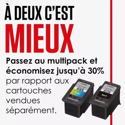 Cartouche d'encre CANON PG-545 Noir pour des impressions nettes