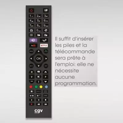 Télécommande de remplacement - CGV - FIDELIO Panasonic - Pour téléviseurs Panasonic - Sans programmation - Prete a l'emploi