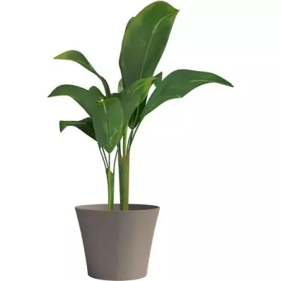 Pot de fleurs GARDEN ID Green Care Taupe - 40 x 34 cm - 10 ans garantie Pot de fleurs GARDEN ID Green Care Taupe - 40 x 34 cm - 10 ans garantie