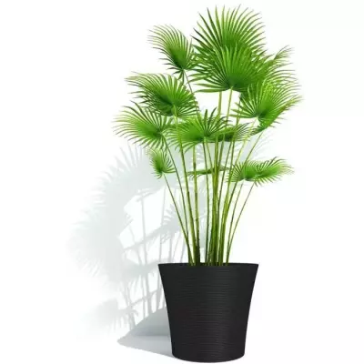 Pot de fleurs GARDEN ID Green Care Sense Noir-Anthracite - 40x34cm - Garantie 10 ans Pot de fleurs GARDEN ID Green Care Sense Noir-Anthracite - 40x34cm - Garantie 10 ans