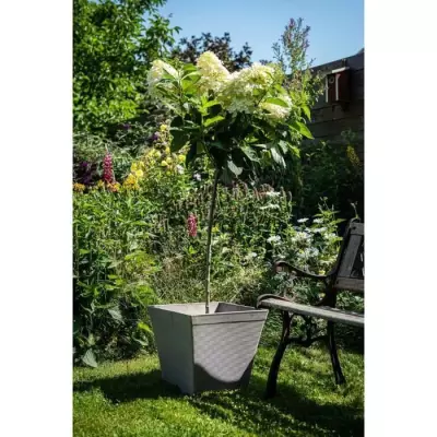 Pot carré taupe 29x26 cm - GARDEN ID Green Care Impact - 100% recyclé Pot carré taupe 29x26 cm - GARDEN ID Green Care Impact - 100% recyclé
