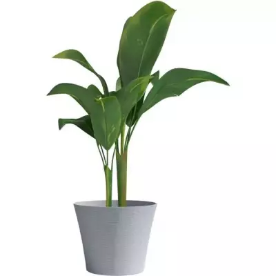 Pot de fleurs - GARDEN ID - Green Care Sense Pierre bleue - 50 x 41 cm Pot de fleurs - GARDEN ID - Green Care Sense Pierre bleue - 50 x 41 cm