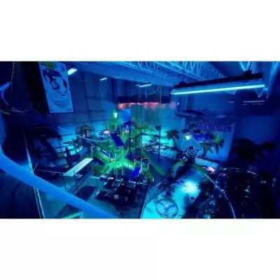 Trouvez Frankie et Gagnez - Jeu PS5: Édition Victorieuse