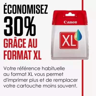 Cartouche d'encre Canon CLI-551GY XL Gris - Grande Capacité XL