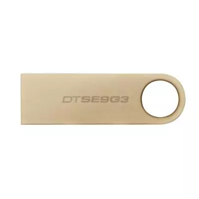 Kingston Technology DataTraveler 256Go 220Mo s Clé USB 3.2 Gen 1 Métal SE9 G3