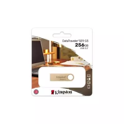 Kingston Technology DataTraveler 256Go 220Mo s Clé USB 3.2 Gen 1 Métal SE9 G3