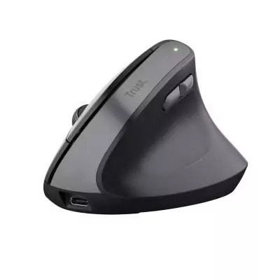 Trust TM-270 souris Bureau Droitier RF sans fil Optique 2400 DPI