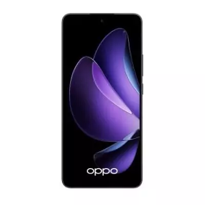 OPPO 13 F 5G Reno 13F 5G 16,9 cm (6.67") Double SIM USB Type-C 8 Go 256 Go 5800 mAh Gris