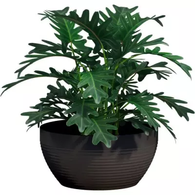 Pot de fleur Coupe - GARDEN ID - Impact écologique Noir-Anth - 25 x 12 cm Pot de fleur Coupe - GARDEN ID - Impact écologique Noir-Anth - 25 x 12 cm