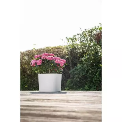 Pot avec réserve d'eau - GARDEN ID Respect - Blanc 20 x 20 cm Pot avec réserve d'eau - GARDEN ID Respect - Blanc 20 x 20 cm