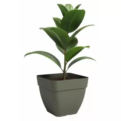 Pot de fleur ARTEVASI CAPRI CAMPANA Carrée Vert sec - 37 x 38 x 34 cm
