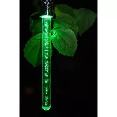 Lanterne Bâton Solaire Cristal 22 cm - Couleur changeante - Autonomie 6-8h
