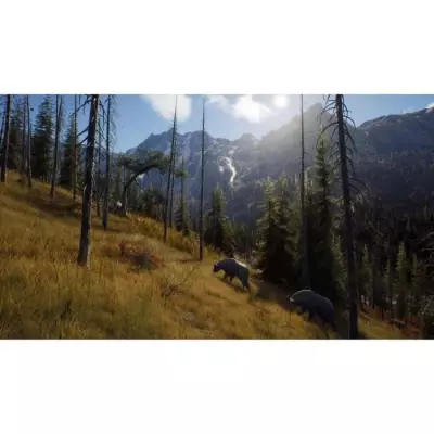 Explorez la nature sauvage avec Way of the Hunter sur Xbox Series X