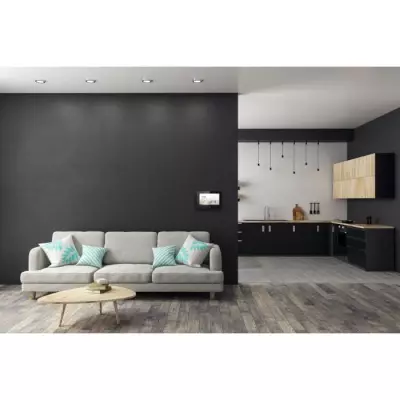 Interphone Dio connecté Wi-Fi DiO - Filaire