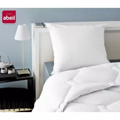 Oreillers Anti-Acarien ABEIL - Lot de 2 - 60 x 60 cm - Blanc Oreillers Anti-Acarien ABEIL - Lot de 2 - 60 x 60 cm - Blanc