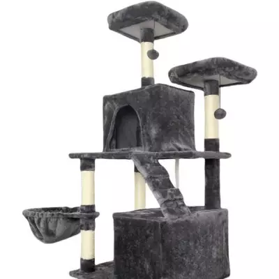 Arbre à chat TAYLOR - Gris foncé - Design complet Arbre à chat TAYLOR - Gris foncé - Design complet
