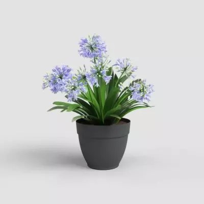 Pot Capri Campana 35cm Anthracite pour une touche de modernité Pot Capri Campana 35cm Anthracite pour une touche de modernité