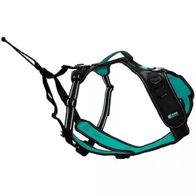 Harnais pour chien SYMBIOZ XXS Noir / Bleu - Taille compacte 