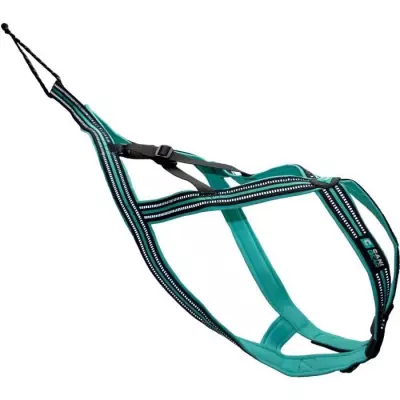Harnais de traction pour chien - OLYMPIA M - Bleu