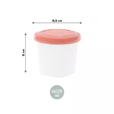 Boîtes conservation repas écologiques et pratiques - Lot de 6 - 250ml