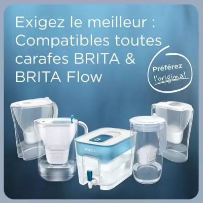 Filtre à eau BRITA MAXTRA PRO Expert - Pack de 3+1