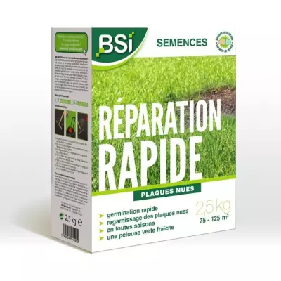 BSI - Semences de Gazon Réparation Rapide Haute Qualité - 2,5Kg