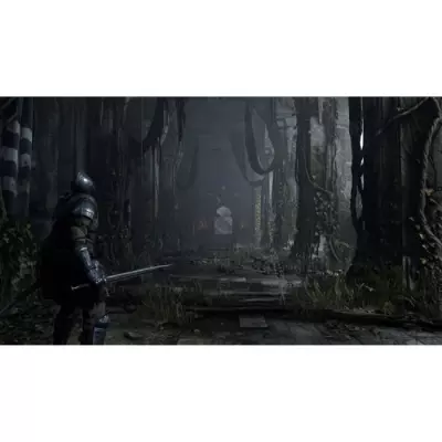 Jeu PS5 Demon's Souls: Dimensions compactes pour une expérience épique