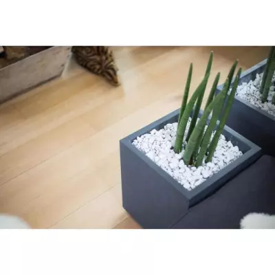 Pot carré Graphit - 39 x 39 x 43 cm - Gris anthracite Pot carré Graphit - 39 x 39 x 43 cm - Gris anthracite