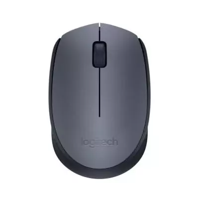 Souris - Sans fil - Logitech - M170 - Gris - Ambidextre