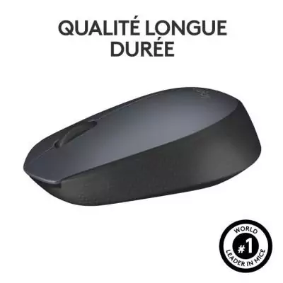 Souris - Sans fil - Logitech - M170 - Gris - Ambidextre