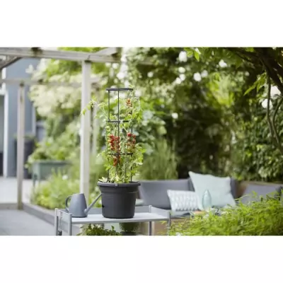 Pot à tomate Green Basics - 33 cm - Noir vif - Idéal pour vos plantes - POT DE FLEUR
