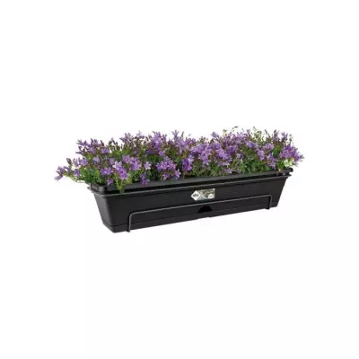 Jardinière extérieure ELHO Balconnière Green Basics Allin1 50 - Noir - L 25,7 x l 47,3 x H 16,7 cm