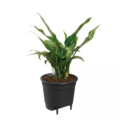 Pot de fleurs Elho auto-arrosant 44 - Noir - Ø 43 x H 39 cm - accessoires eco-friendly