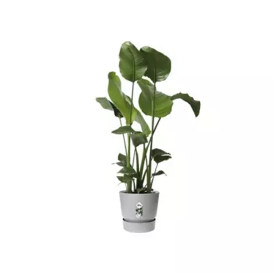 Pot de fleurs rond Greenville 30 - Gris béton vivant