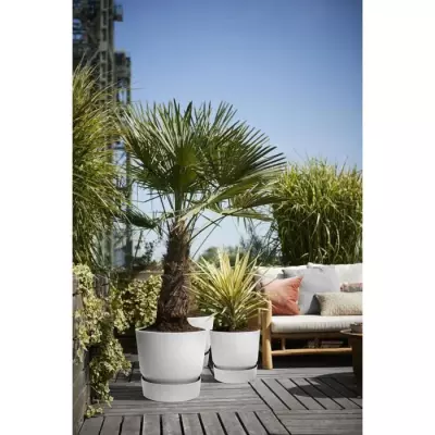 Pot de fleurs rond Greenville 30 - Gris béton vivant