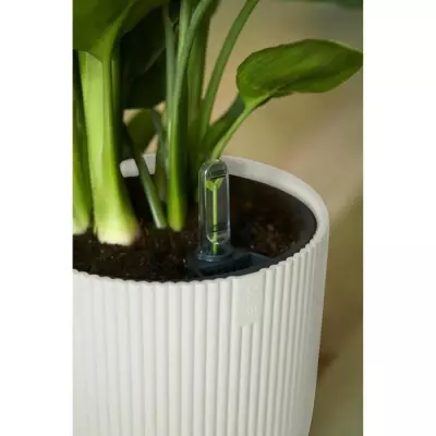 Pot De Fleurs Rond VIBES - Ø22 Blanc: Pour une touche de fraîcheur dans votre espace