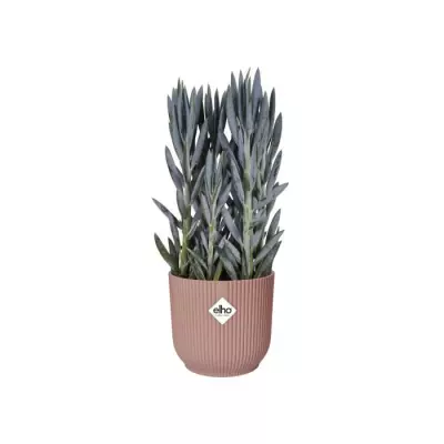Pot de fleurs ELHO Vibes Fold avec roues - Rose - Ø 35 x H 32 cm