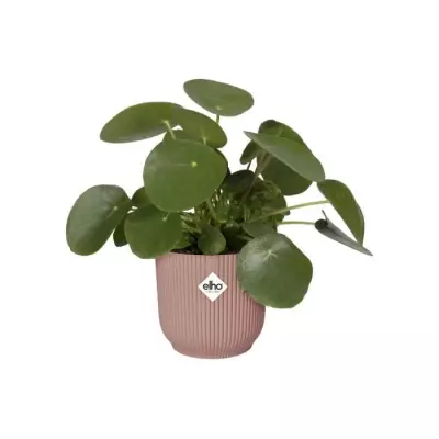 Pot de fleurs ELHO Vibes Fold avec roues - Rose - Ø 35 x H 32 cm