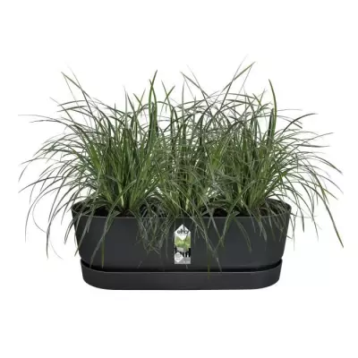 Pot de fleurs ELHO Greenville Easy Balcony 52 - Noir Élégant - L 21.2 x l 52 x H 19.4 cm