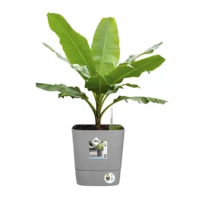 Pot de fleur Elho Plastique Carré Greensense Aqua Care Vert Jungle - 15 L