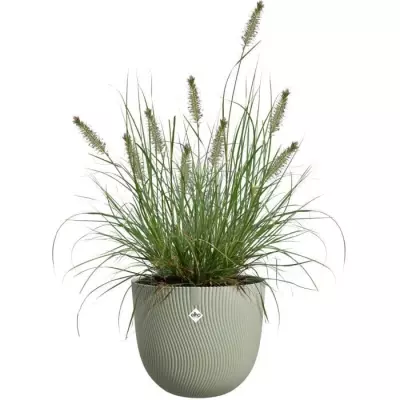 Pot de fleurs ELHO Sereh Rond 30 - Vert - L 30 x B 29.5 x H 25 cm