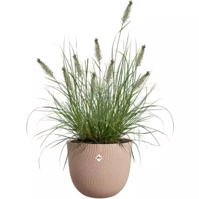 Pot de fleurs ELHO Sereh Rond 30 Marron - 100% recyclé