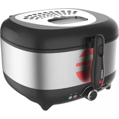 Friteuse Electrique FAGOR FG2310 - Puissante et Pratique