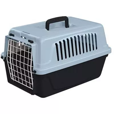 Transportez votre chiot avec style !