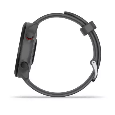 Montre connectée sport Garmin Forerunner 55 - Gris Monterra