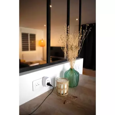 Prise connectée SmartPlug SCS SENTINEL - 14x12x9 cm