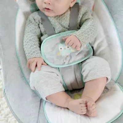 Balancelle Ingenuity Swing and Go Hugs & Hoots - Compacte et Ludique