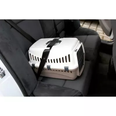 Transportez votre chien en toute sécurité avec la box KERBL - 48x32x32cm