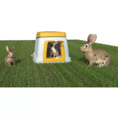 Kit de base pour lapin - KERBL - Habitat idéal - Instinctif